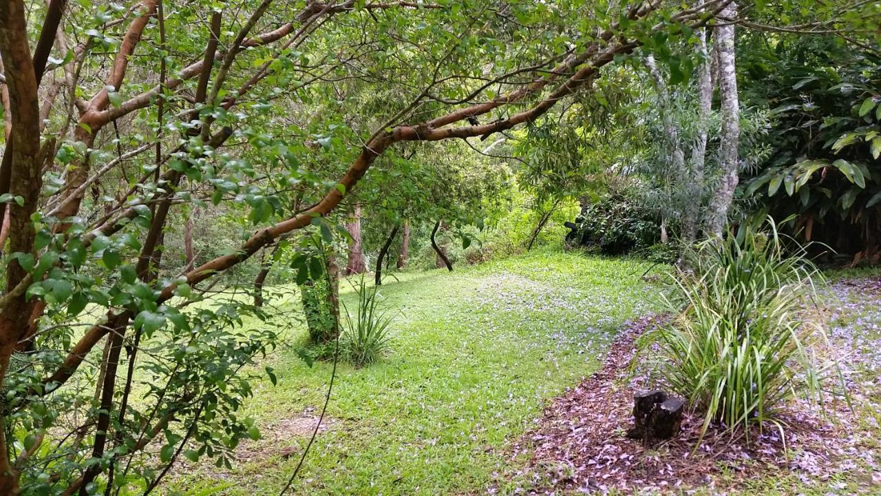 Forest View Bungalow Nambucca Heads Dış mekan fotoğraf