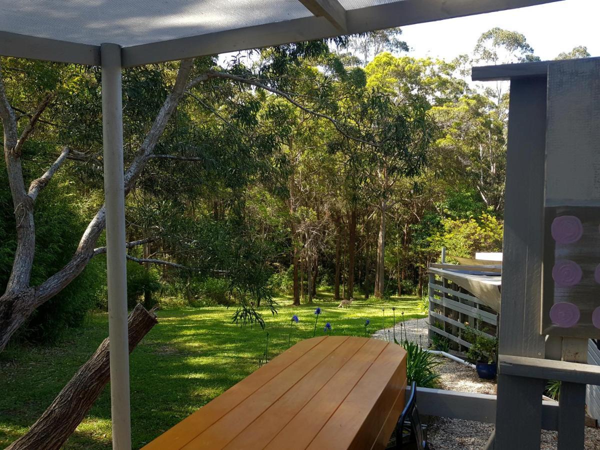 Forest View Bungalow Nambucca Heads Dış mekan fotoğraf