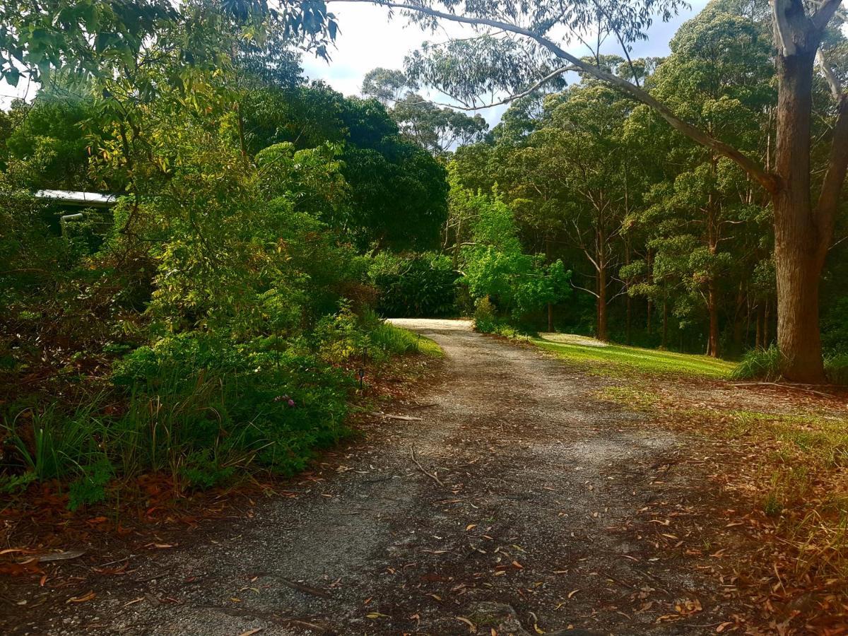 Forest View Bungalow Nambucca Heads Dış mekan fotoğraf
