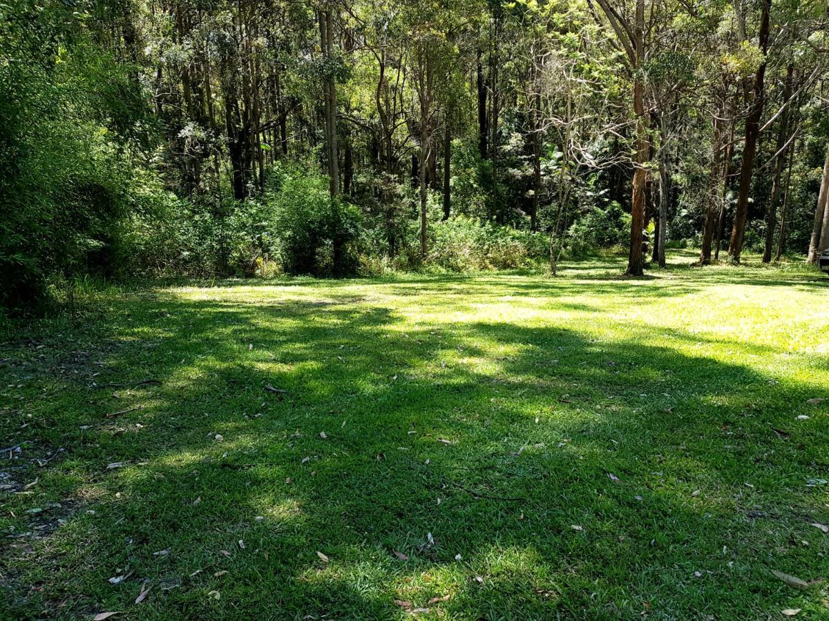 Forest View Bungalow Nambucca Heads Dış mekan fotoğraf