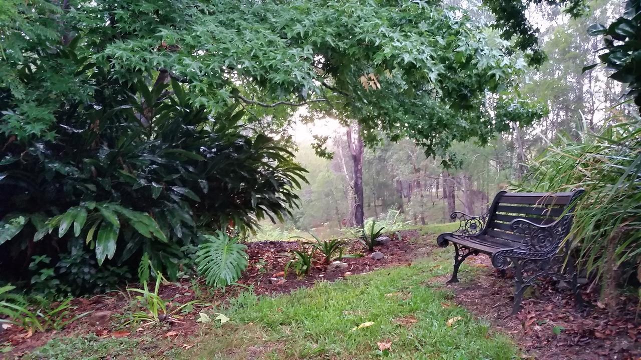 Forest View Bungalow Nambucca Heads Dış mekan fotoğraf