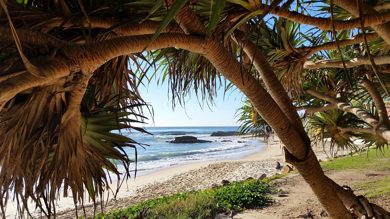 Forest View Bungalow Nambucca Heads Dış mekan fotoğraf