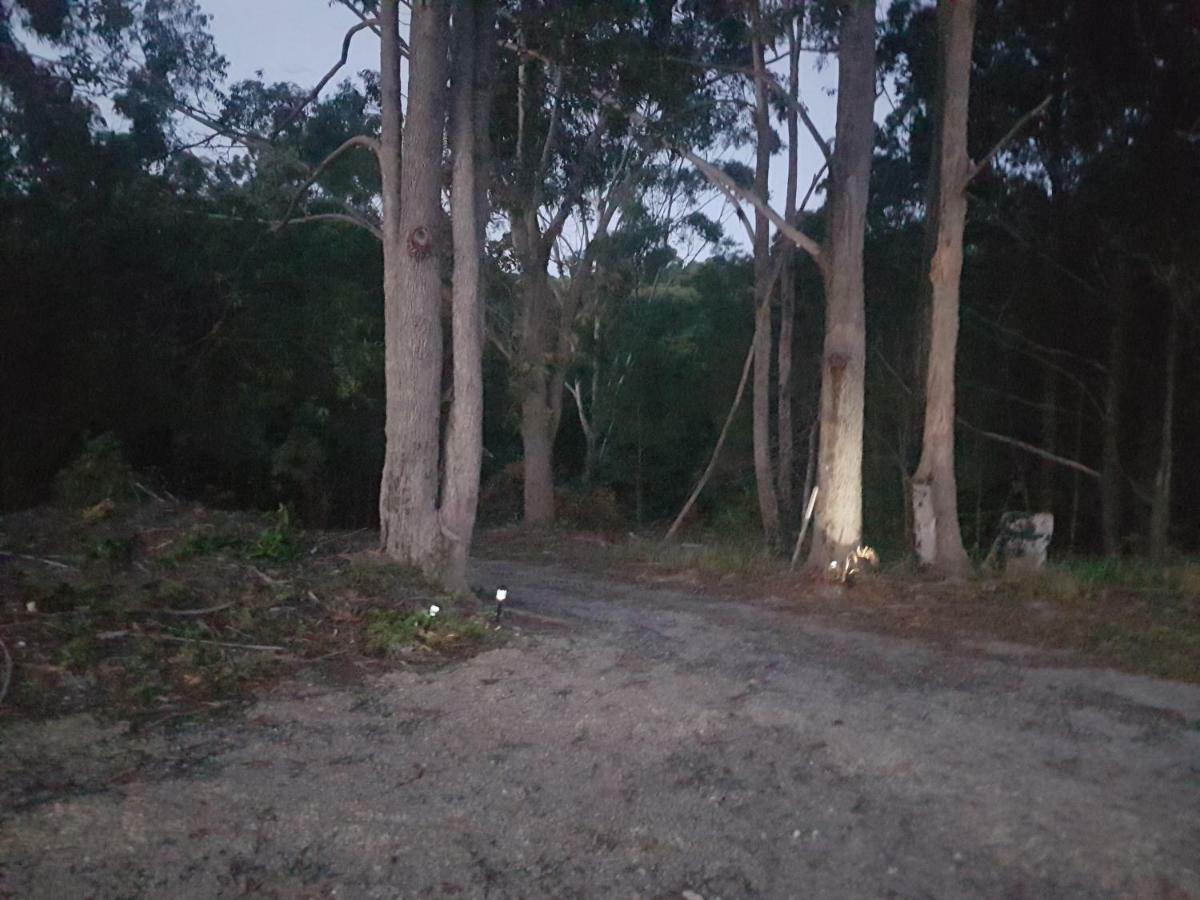 Forest View Bungalow Nambucca Heads Dış mekan fotoğraf