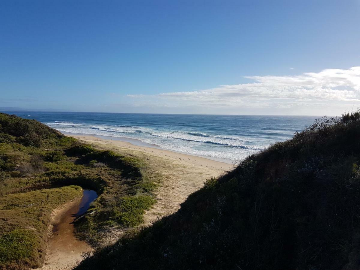 Forest View Bungalow Nambucca Heads Dış mekan fotoğraf